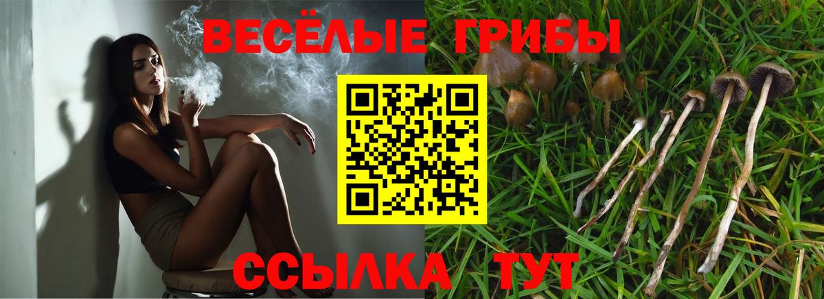 Галлюциногенные грибы GOLDEN TEACHER  Вход с VPN  Минусинск 